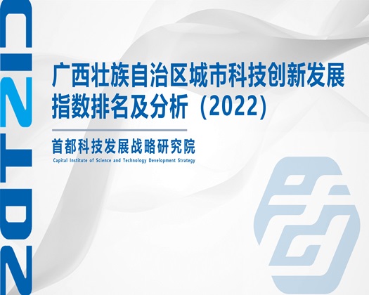 大屌插小逼【成果发布】广西壮族自治区城市科技创新发展指数排名及分析（2022）